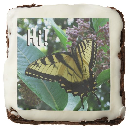Swallowtail Butterfly I on Milkweed at Shenandoah Brownie (Front)