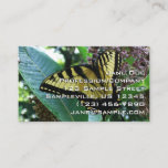 Swallowtail Butterfly I on Milkweed at Shenandoah Business Card