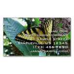 Swallowtail Butterfly I on Milkweed at Shenandoah Business Card Magnet