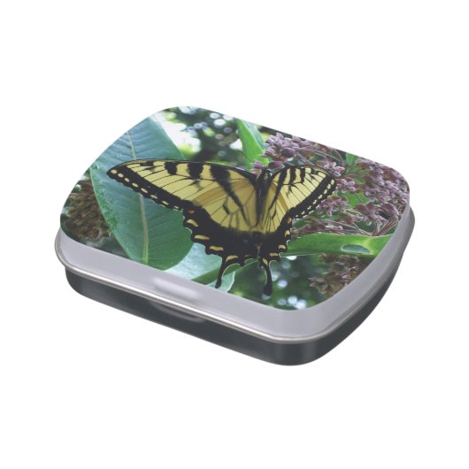 Swallowtail Butterfly I on Milkweed at Shenandoah Candy Tin (Side)
