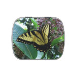 Swallowtail Butterfly I on Milkweed at Shenandoah Candy Tin