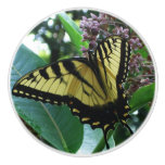 Swallowtail Butterfly I on Milkweed at Shenandoah Ceramic Knob