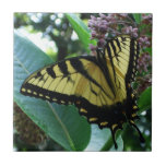 Swallowtail Butterfly I on Milkweed at Shenandoah Ceramic Tile