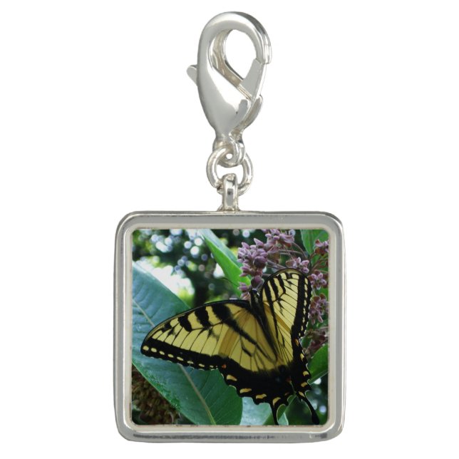 Swallowtail Butterfly I on Milkweed at Shenandoah Charm (Front)