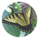 Swallowtail Butterfly I on Milkweed at Shenandoah Classic Round Sticker