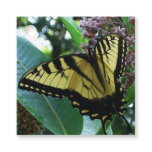 Swallowtail Butterfly I on Milkweed at Shenandoah Favor Tags