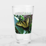 Swallowtail Butterfly I on Milkweed at Shenandoah Glass