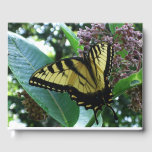 Swallowtail Butterfly I on Milkweed at Shenandoah Guest Book
