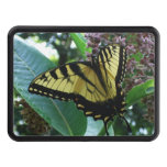 Swallowtail Butterfly I on Milkweed at Shenandoah Hitch Cover