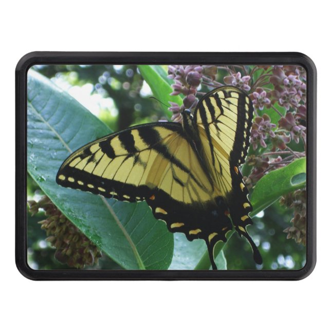 Swallowtail Butterfly I on Milkweed at Shenandoah Hitch Cover (Front)