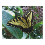 Swallowtail Butterfly I on Milkweed at Shenandoah Jigsaw Puzzle