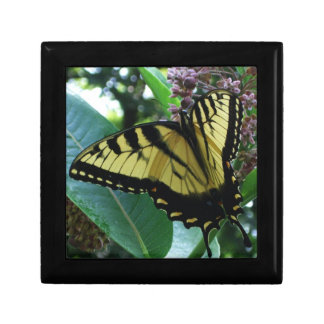 Swallowtail Butterfly I on Milkweed at Shenandoah Keepsake Box