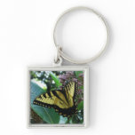 Swallowtail Butterfly I on Milkweed at Shenandoah Keychain