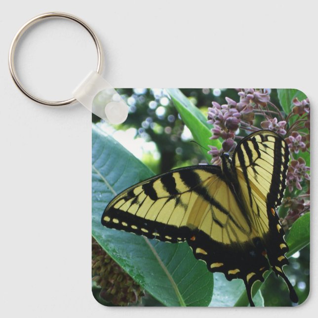 Swallowtail Butterfly I on Milkweed at Shenandoah Keychain (Front)