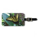 Swallowtail Butterfly I on Milkweed at Shenandoah Luggage Tag