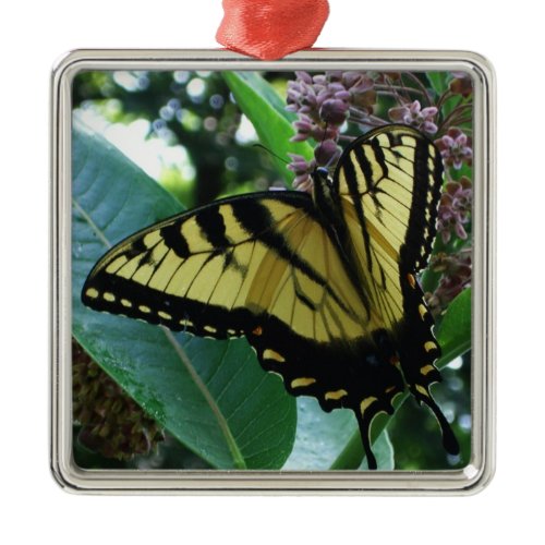 Swallowtail Butterfly I on Milkweed at Shenandoah Metal Ornament