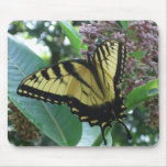 Swallowtail Butterfly I on Milkweed at Shenandoah Mouse Pad