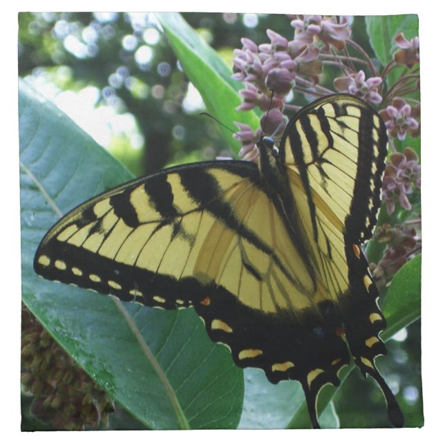 Swallowtail Butterfly I on Milkweed at Shenandoah Napkin (Front)
