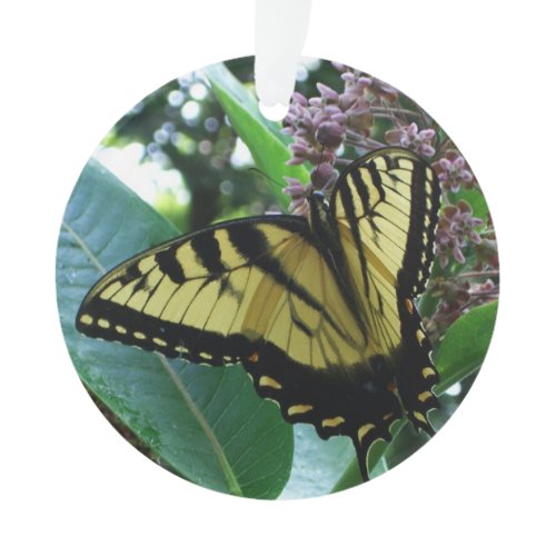 Swallowtail Butterfly I on Milkweed at Shenandoah Ornament
