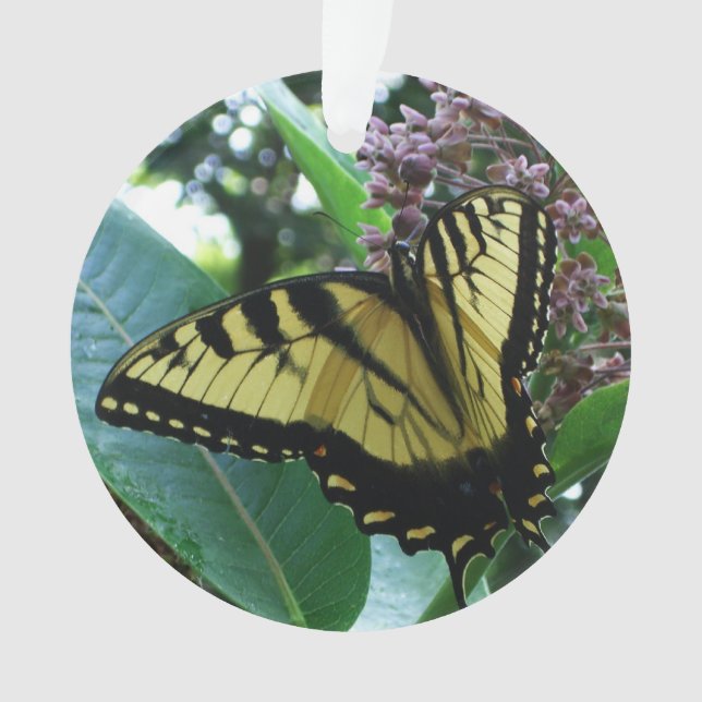 Swallowtail Butterfly I on Milkweed at Shenandoah Ornament (Front)