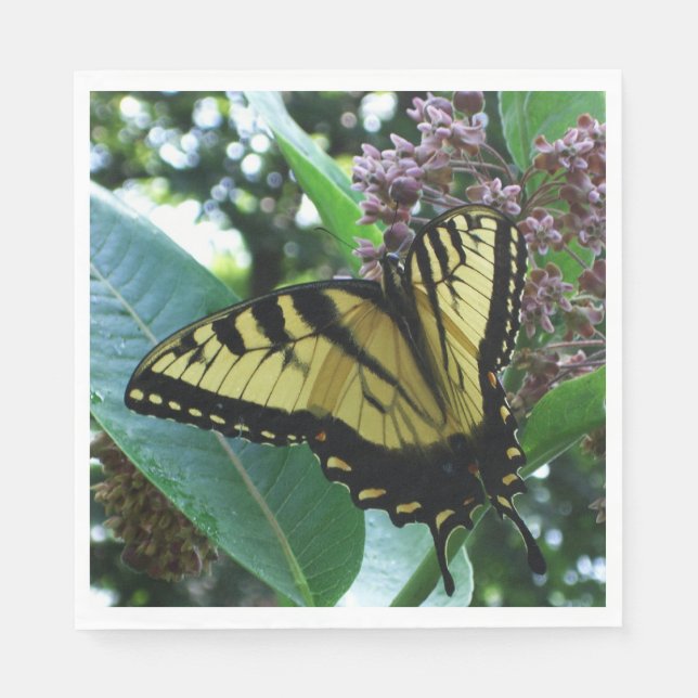 Swallowtail Butterfly I on Milkweed at Shenandoah Paper Napkins (Front)