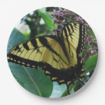Swallowtail Butterfly I on Milkweed at Shenandoah Paper Plates
