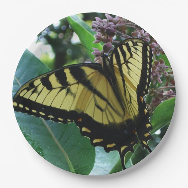 Swallowtail Butterfly I on Milkweed at Shenandoah Paper Plates (Front)