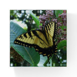 Swallowtail Butterfly I on Milkweed at Shenandoah Paperweight