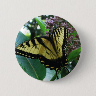 Swallowtail Butterfly I on Milkweed at Shenandoah Pinback Button