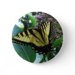 Swallowtail Butterfly I on Milkweed at Shenandoah Pinback Button