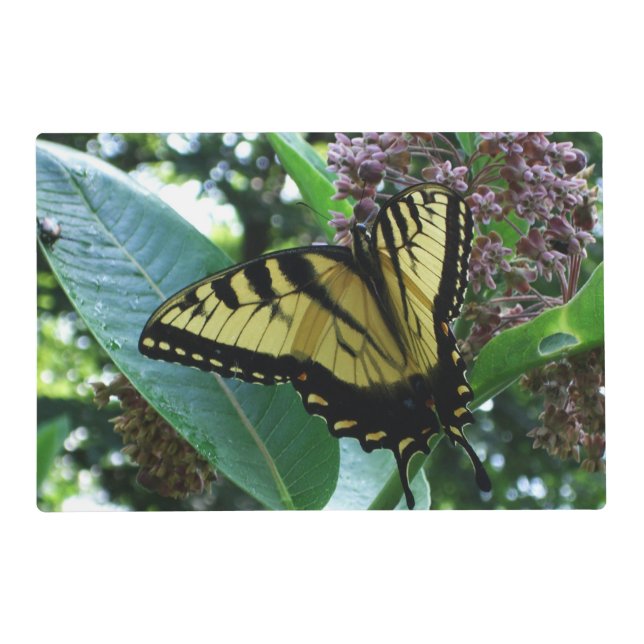 Swallowtail Butterfly I on Milkweed at Shenandoah Placemat (Front)