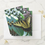 Swallowtail Butterfly I on Milkweed at Shenandoah Pocket Folder
