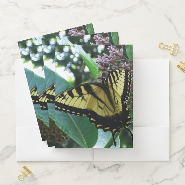 Swallowtail Butterfly I on Milkweed at Shenandoah Pocket Folder (In Situ)