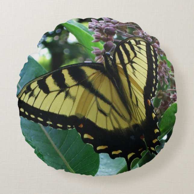 Swallowtail Butterfly I on Milkweed at Shenandoah Round Pillow (Front)