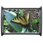 Swallowtail Butterfly I on Milkweed at Shenandoah Serving Tray