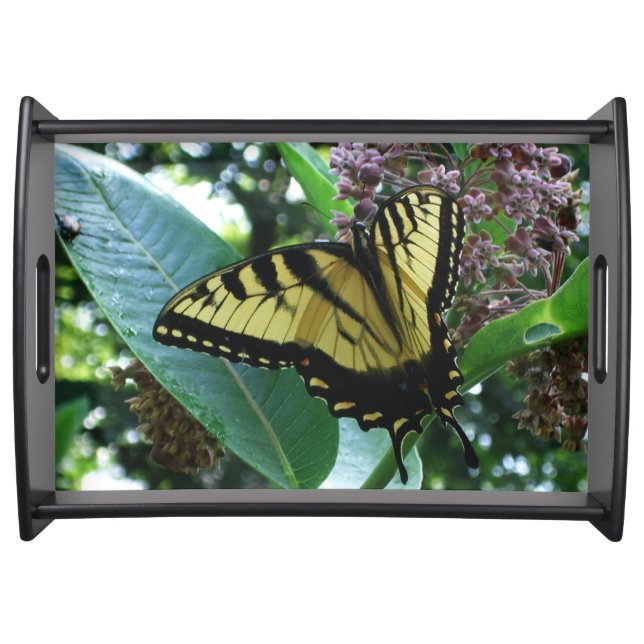 Swallowtail Butterfly I on Milkweed at Shenandoah Serving Tray (Front)