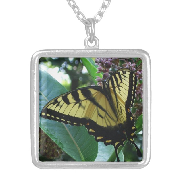 Swallowtail Butterfly I on Milkweed at Shenandoah Silver Plated Necklace (Front)