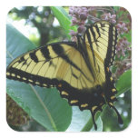 Swallowtail Butterfly I on Milkweed at Shenandoah Square Sticker
