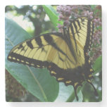 Swallowtail Butterfly I on Milkweed at Shenandoah Stone Coaster