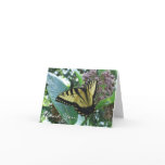 Swallowtail Butterfly I on Milkweed at Shenandoah Thank You Card