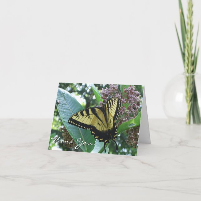 Swallowtail Butterfly I on Milkweed at Shenandoah Thank You Card (Front)