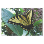 Swallowtail Butterfly I on Milkweed at Shenandoah Tissue Paper