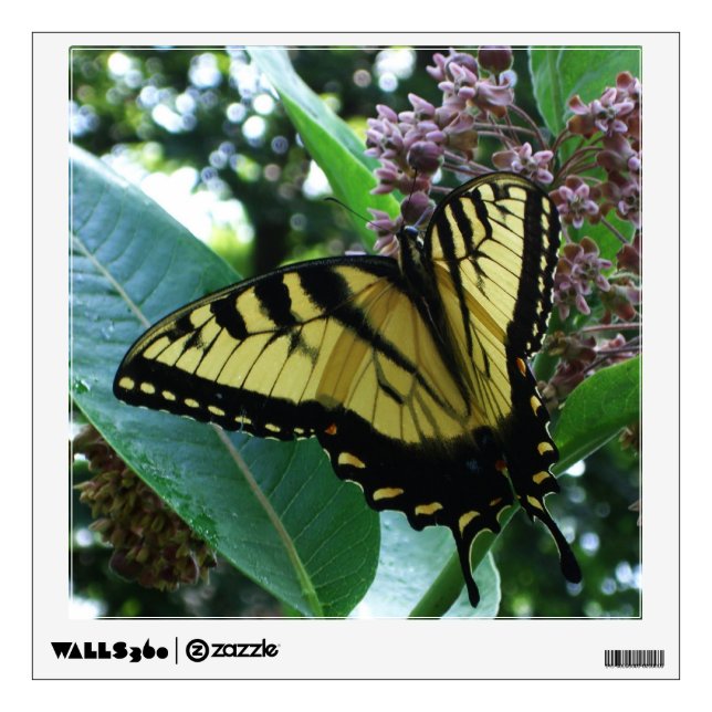 Swallowtail Butterfly I on Milkweed at Shenandoah Wall Decal (Front)