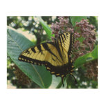 Swallowtail Butterfly I on Milkweed at Shenandoah Wood Wall Art