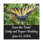 Swallowtail Butterfly II at Shenandoah