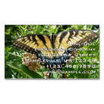 Swallowtail Butterfly II at Shenandoah Business Card Magnet