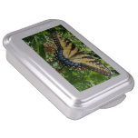 Swallowtail Butterfly II at Shenandoah Cake Pan