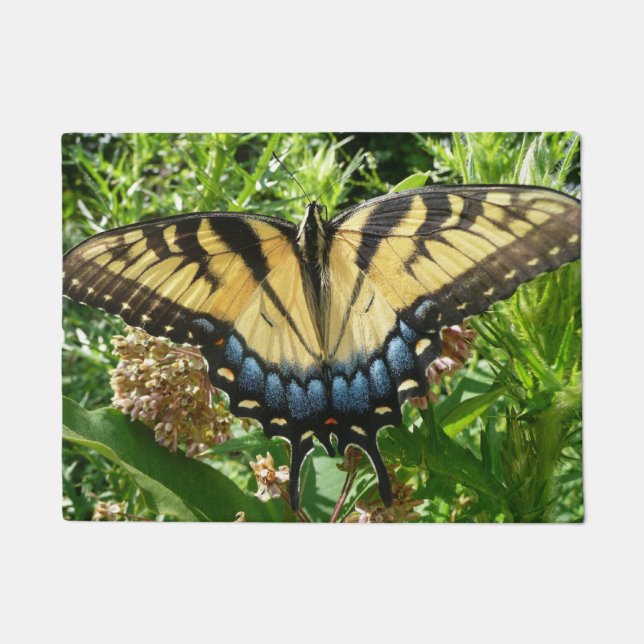 Swallowtail Butterfly II at Shenandoah Doormat (Front)