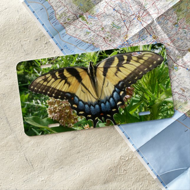 Swallowtail Butterfly II at Shenandoah License Plate (In Situ)