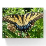 Swallowtail Butterfly II at Shenandoah Paperweight